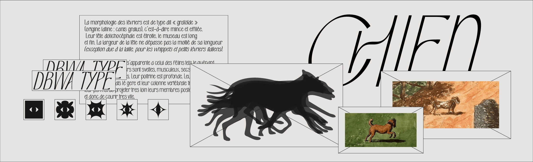 Illustration de lévrier habillée par la typographie Pavot