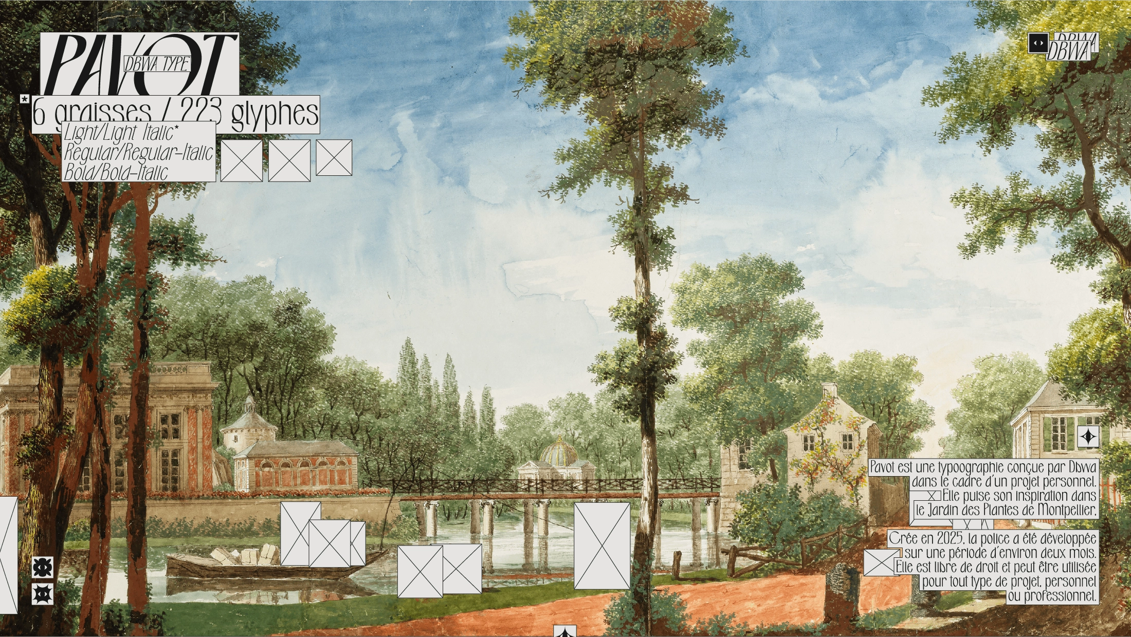 Spécimen typographique Pavot au Jardin des Plantes de Montpellier