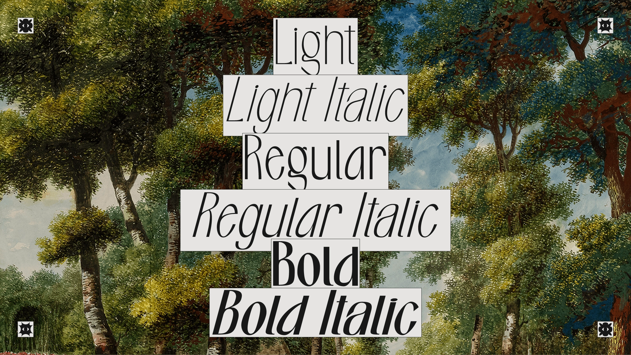 Aperçu des styles de la police Pavot : Light, Regular, Bold et Italique